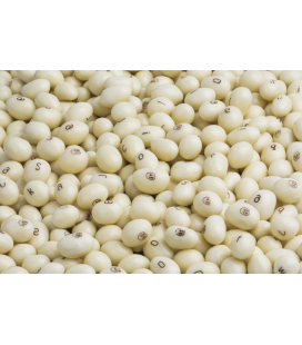 Conguitos Blancos Lacasa 20 g 2